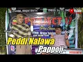 PEDDI NALAWA PAPPOJI - DEWINTA COVER BY PROJECT 17 || VOC. NANDI ULAN || LIVE PERFORM