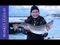 Download Lagu Skreitorsk på sjömansvis | Matresa till Tromsø | Markus Aujalay