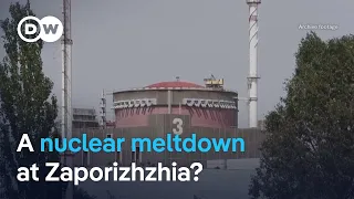 Ukraine’s Zaporizhzhia nuclear plant on emergency power as diesel runs low | DW News