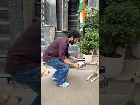 लोग गली का कुत्ता कहते है 💔इन्हें महँगा खाना नहीं चाहिए…🫢