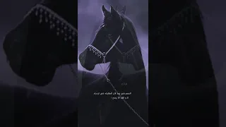 حفيد الاكابر      دندنها