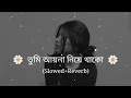 Download Lagu Tumi Ayna Niye Thako (তুমি আয়না নিয়ে থাকো) Slowed+reverb | GoGoN SAKIB | Munna | Mawya | Raju01