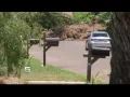 Edinburg Shooting