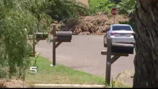 Edinburg Shooting