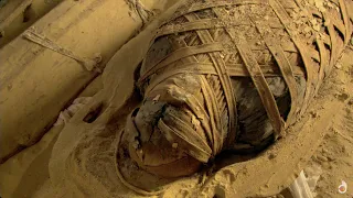 Quest for the Lost Pharaoh