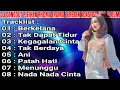 Download Lagu DJ DANGDUT PILIHAN TERBAIK RHOMA IRAMA - REMIX NONSTOP TERBARU FULL ALBUM