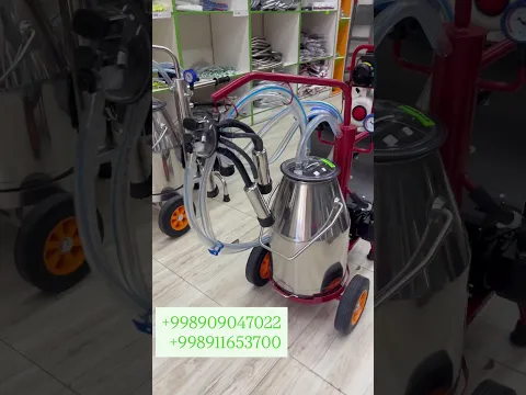 14 июля 2026 г.