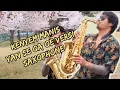saxophone cover | yan se \