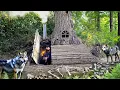 Download Lagu Building a secret shelter in a wolf's den | wolves surround the hut