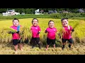 How Rice Is Made by Sumo Wrestlers?!🌾 Powerful Harvest… Eating It All🍚