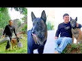 Download Lagu 🐶超幸福！狗狗与家人欢乐游玩，在大自然中感受心灵洗净♥️
