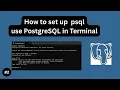 How to Use PostgreSQL in the Terminal psql Setup Explained - PostgreSQL Tutorial