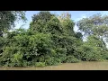 Download Lagu Tapah Sungai Kahang