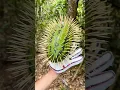 STYROFOAM Glove Survival Hacks That Actually Work