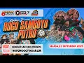 Download Lagu Live Jaranan ROGO SAMBOYO PUTRO Live Sumbersari Mojokendil Ngronggot Nganjuk PELANGI AUDIO