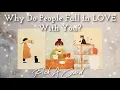 Download Lagu Pick A Card: Why Do People Fall In LOVE With YOU? 🤔😻❤️