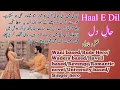 Download Lagu Haal E Dil Complete Novel | Rude Hero | Wani based | Revenge based | Wadera based | Novels Library