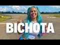 Download Lagu BICHOTA REMIX (KAROL G) POP/URBANO 2025