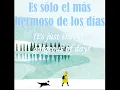 Kurt Vile - Never Run Away (Sub Spanish - English)
