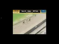 Trackinfo Race Replays Greyhounds Google Chrome 2022 08 14 20 24 39
