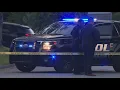 Two killed another injured in Stone Mountain shooting police say