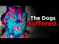 Most Disturbing Crimes That Shook the Furry Community