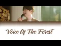 Lee Ra On (이라온) ft. MAKTUB (마크툽) – Voice Of The Forest Türkçe/English [Han_Rom_TR_ENG]