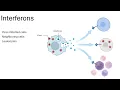 Innate Immunity Antimicrobial Proteins