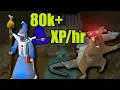 Train Low-Mid Level Combat at Scurrius OSRS XP Guide