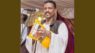 محمد النصرى ارحل ياحمام دوبلاج  محمد النصرى ارحل ياحمام دوبلاج