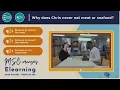 MSC Cruises Test - Cruise ship jobs