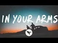 Download Lagu Illenium - In Your Arms (Lyrics) ft. X Ambassadors