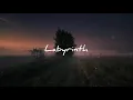 Mr Kitty - Labyrinth