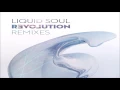 Download Lagu Liquid Soul - Revolution Remixes