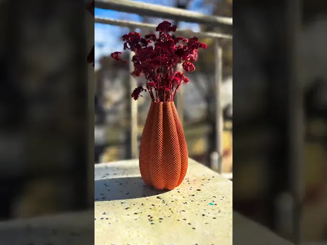 Sol Flower Vase - Vases & Planters By Lunfardo video thumbnail