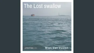the lost swallow shona remix