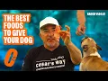 THE BEST FOOD TO FEED YOUR DOG DOG TIPS