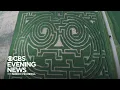 A look at how a massive corn maze is built