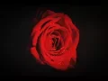Download Lagu Romantic Turkish Music \u0026 Türk aşk şarkıları  | Turkish Music Sad Instrumental Songs