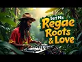 Download Lagu Reggae Mix 2025 💎 Top Reggae Love Songs 2025 🔥 Best Reggae Songs Of All Time
