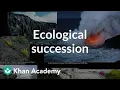 Ecological succession Biodiversity and human impacts High school biology Khan Academy
