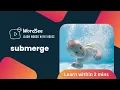 Learn the word submerge in two minutes - Improve your English vocabulary with real world examples