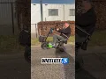 Lagu Een scootmobiel waarbij wheelies maken dus gewoon kan!Zou jij dit durven😱#disability#viral#shorts