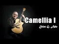 Download Lagu Ebiet G Ade - Camelia 1 (Lirik Lagu)
