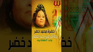 يونس خطر في السوق ولا كل من ركب الحصان خضره محمد خضر 