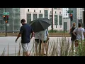 LOST IN CHICAGO
