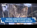 Tacoma Humane Society launching discounted adoption fees to help clear the shelter