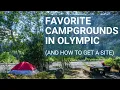 Camping in Olympic National Park Best Options and How to Get a Site