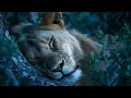 African Music Lullabies for Grown Ups | Peaceful Sleep Music & Relaxation