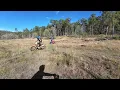 RTCB Beaudesert Log Hoppin